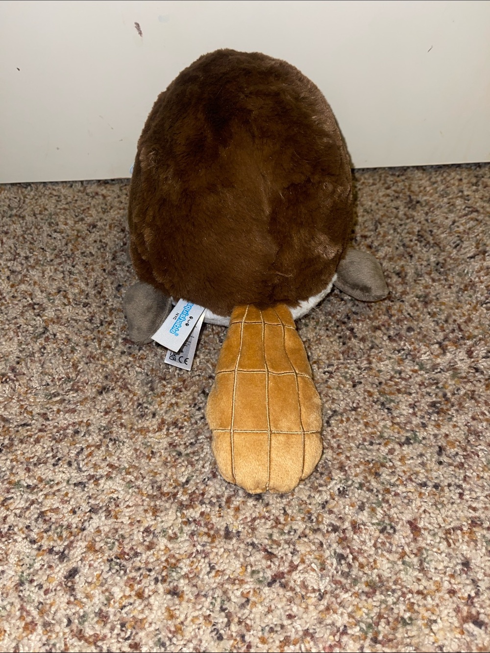NEW❗️Platypus Squishable - Picture 3 of 3